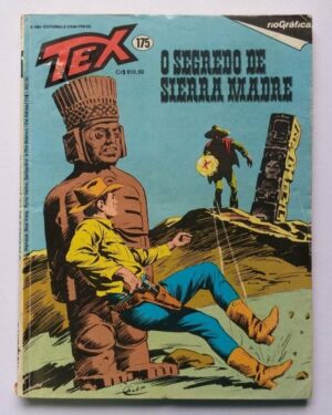 Tex Nº 175 - O Segredo de Sierra Madre (Rio Gráfica) - 1984
