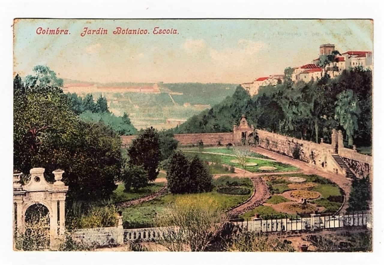 Cartao Postal Antigo - Portugal - Coimbra - Jardim Botanico Escola - Anos 1900