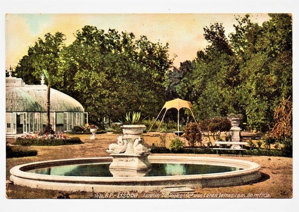 Cartao Postal Antigo - Portugal - Lisboa - Jardim Zoologico - Anos 1910