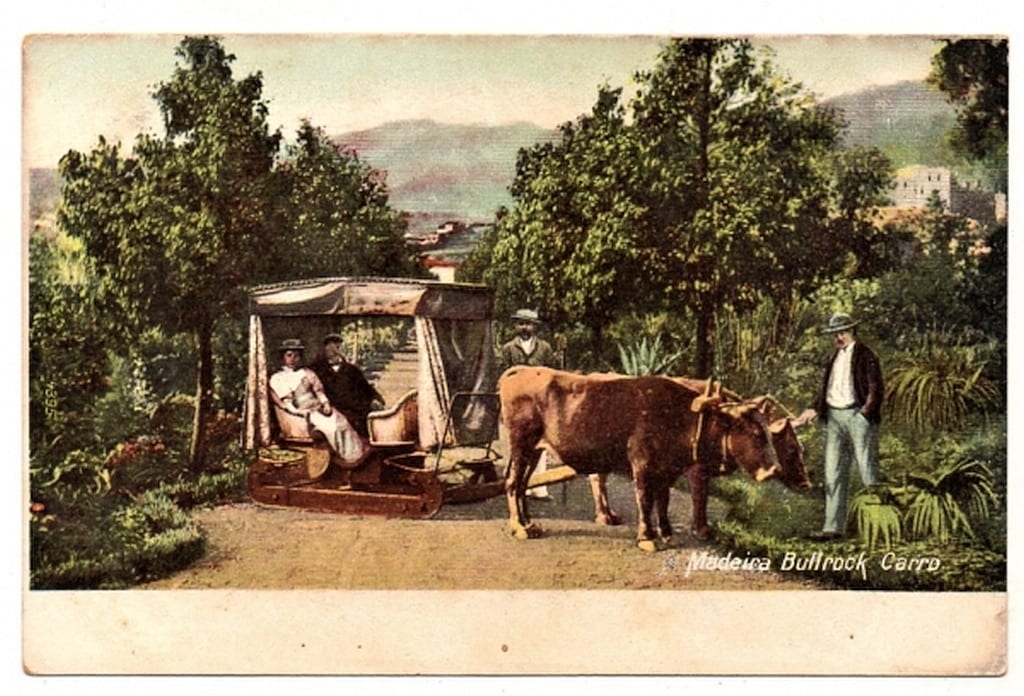 Cartao Postal Bullrock Carro - Madeira - Portugal - Anos 20