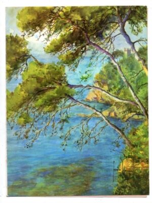 Antigo Cardapio De Navio - Linea C - Andrea C - 01 Janeiro 1979