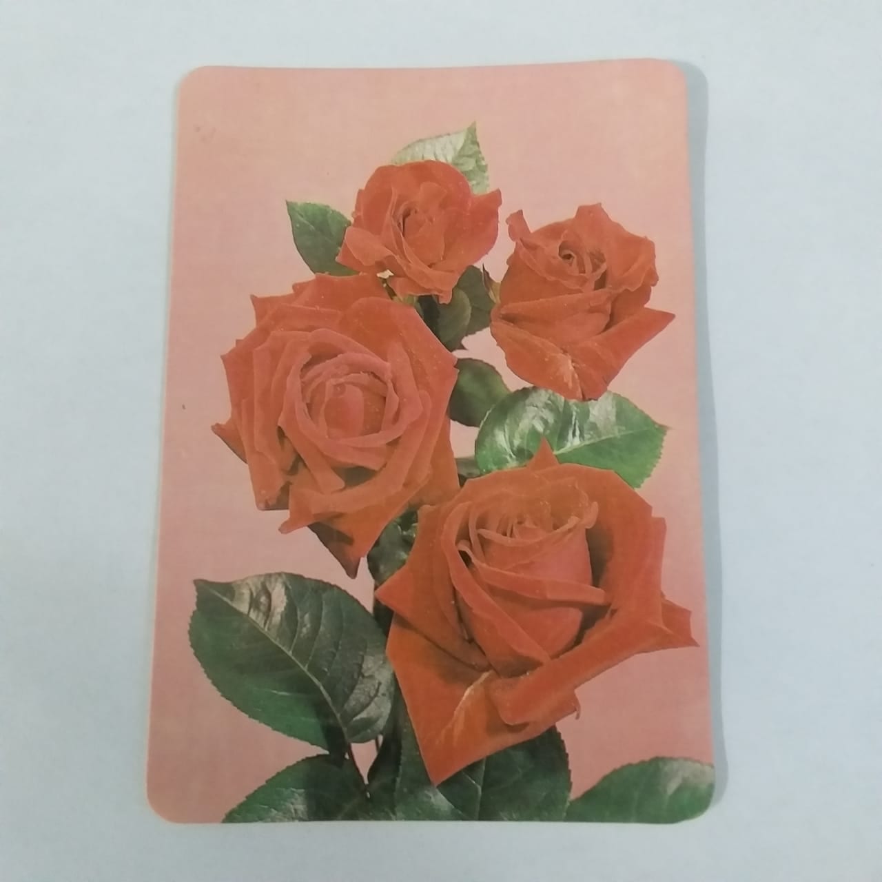 Calendário de Bolso (Tema Flores) - Ano 1995