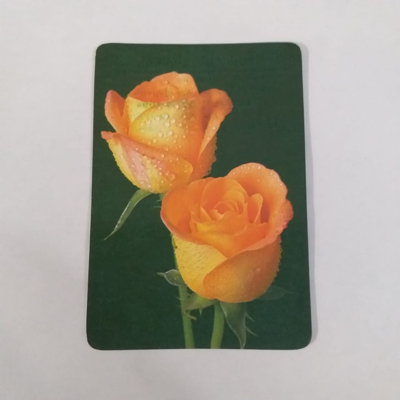 Calendário de Bolso (Tema Flores) - Ano 2006