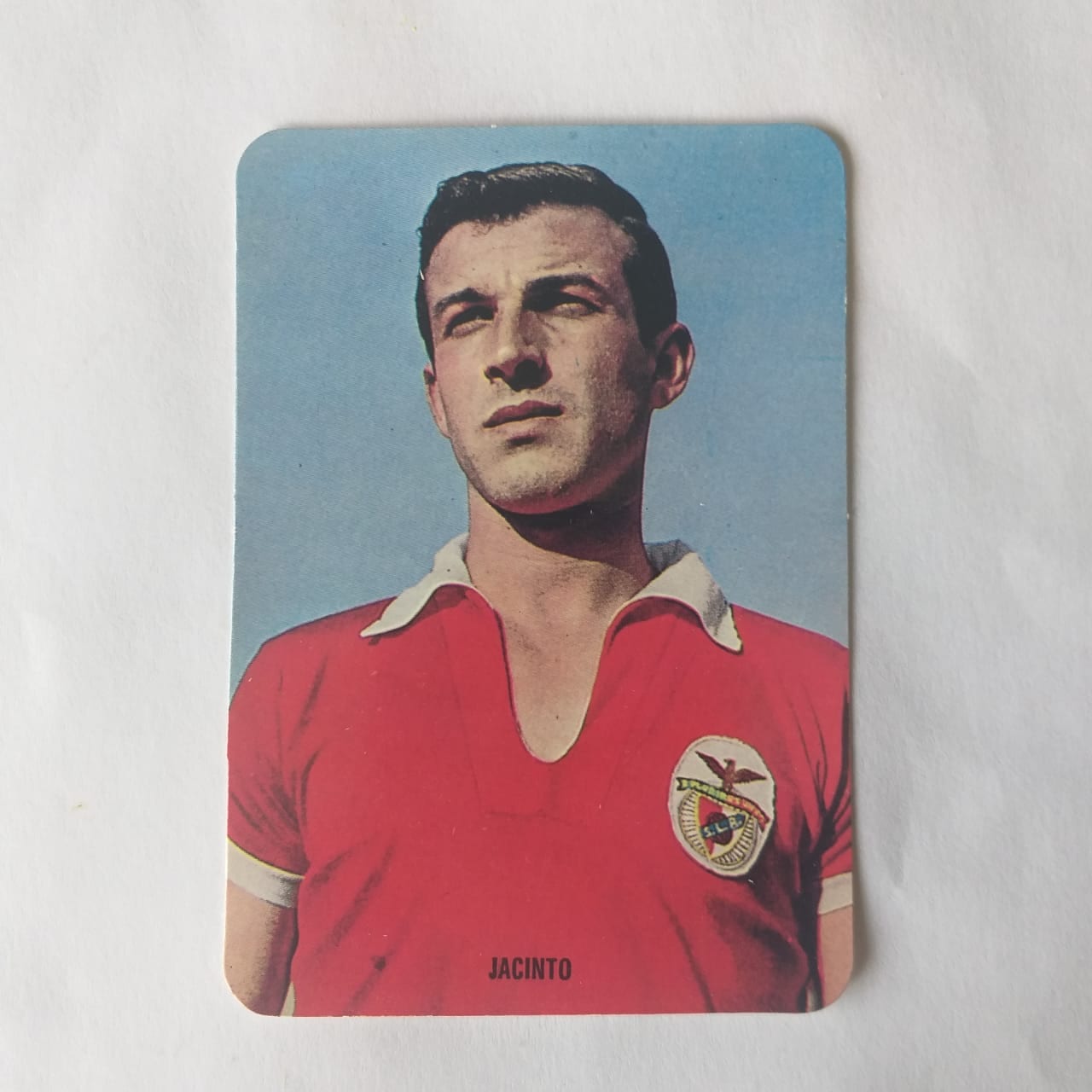 Calendário de Bolso (Tema Futebol) - Estrelas do Passado do Futebol Benfiquista - Jacinto - Ano 1995