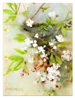 Cardapio De Navio - Linea C - Andrea C - Ceia Do Comandante 01 de Janeiro de 1979