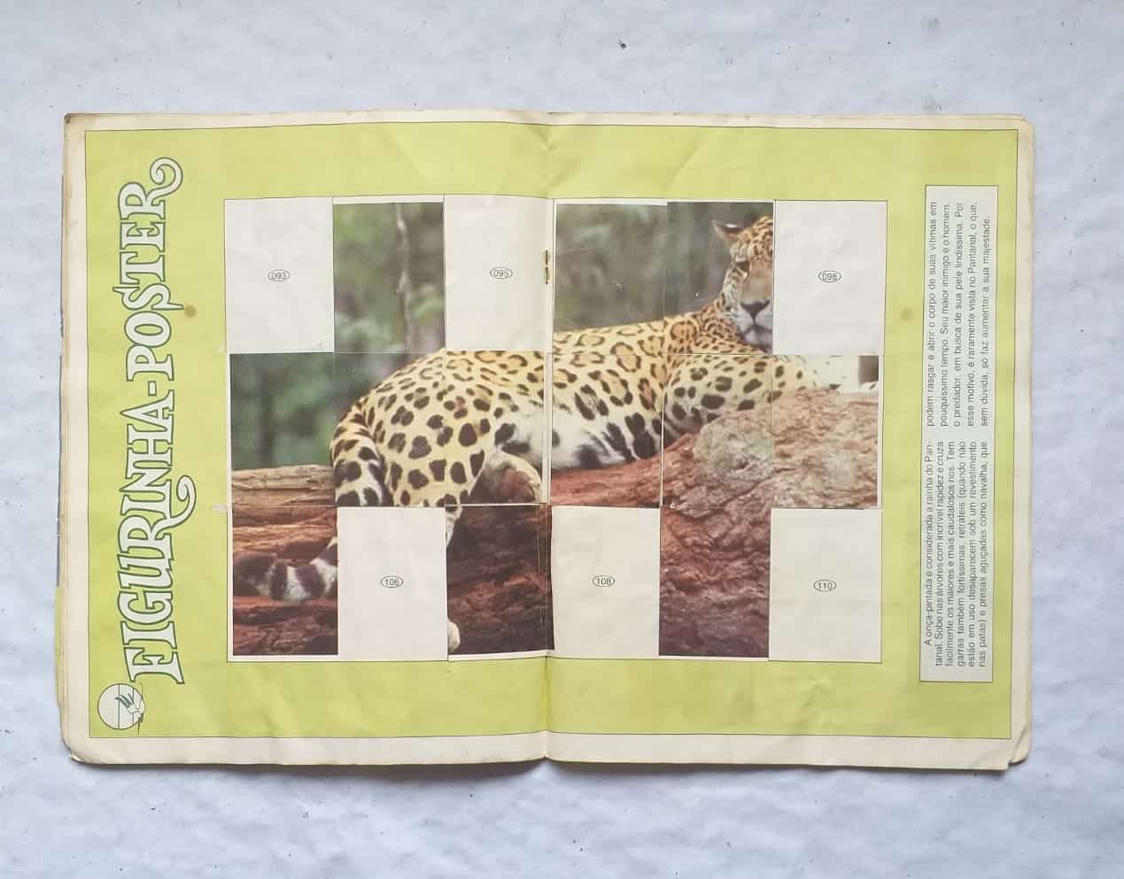 | Casa do Colecionador Álbum de Figurinhas - A Saga do Pantanal (Incompleto com 168 fig coladas - SUCATA) 1990