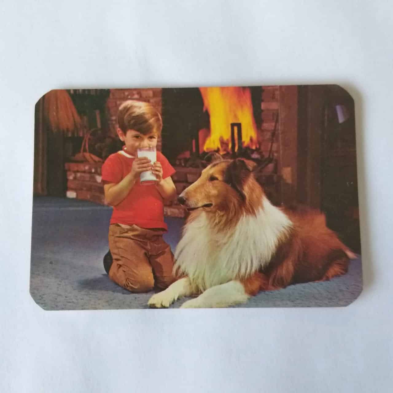Calendário de Bolso (Tema Criança com animal) - Ano 1981