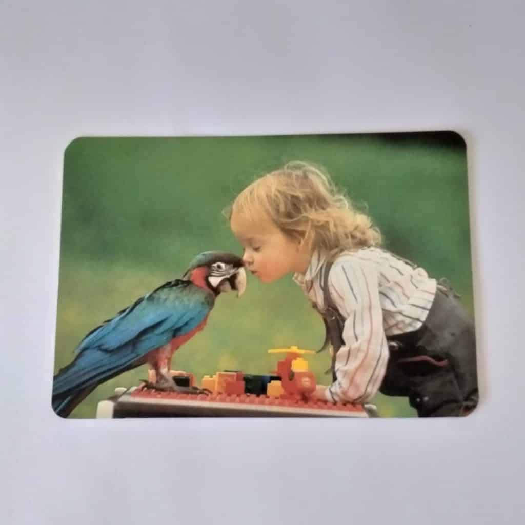 Calendário de Bolso (Tema Criança com animal) - Ano 1993