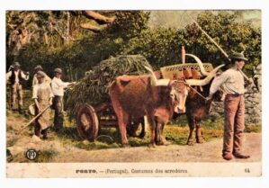 Cartao Postal Antigo - Portugal - Porto - Costumes de Arredores - Anos 1907