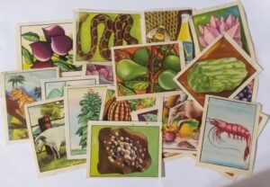 Figurinhas do Álbum Riquezas Brasileiras - Editora Aquarela - 1961