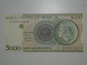 Reposição -) 5.000 Cruzeiros - C-222 / Zélia cardoso / Flor de Estampa