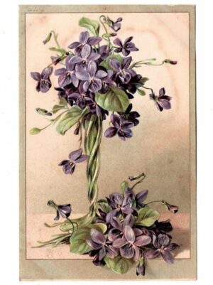 Cartao Postal - Flores - Anos 1920