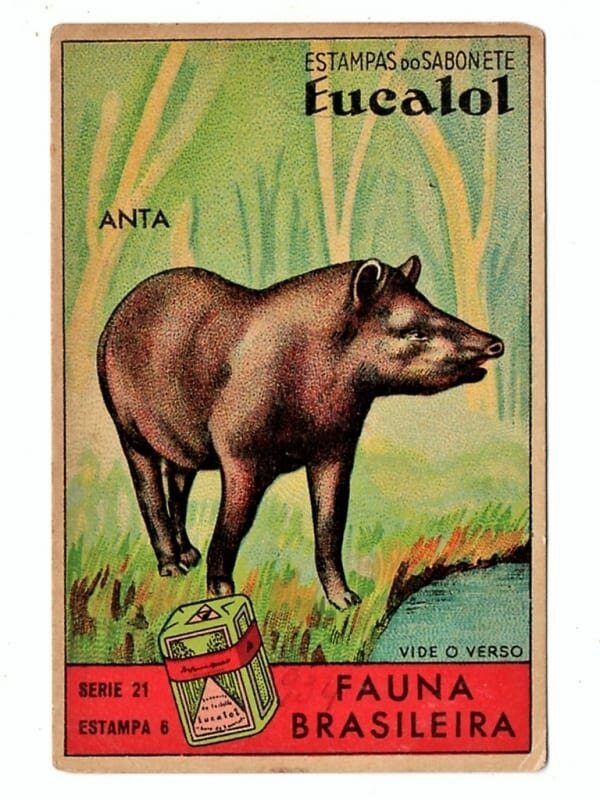 Estampas Eucalol - Fauna Brasileira - Serie 21 - Estampa 6 - 2 Emissão - Anta