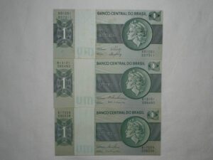 1Cruzeiro - C-130 / 131 / 132 / Flor de estampa / 017311