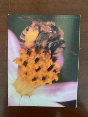 Calendário de Bolso (Tema Animais - Abelha) Ano 1990