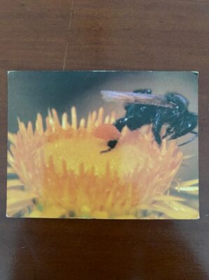 Calendário de Bolso (Tema Animais - Abelha) Ano 1990