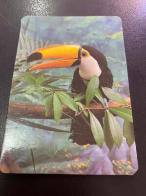 Calendário de Bolso (Tema Animais - Aves) Ano 1995