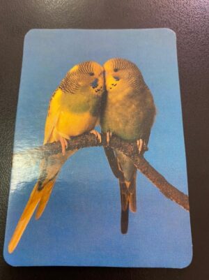 Calendário de Bolso (Tema Animais - Aves) Ano 1995