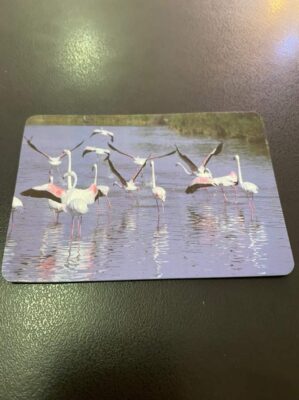 Calendário de Bolso (Tema Animais - Aves) Ano 2002