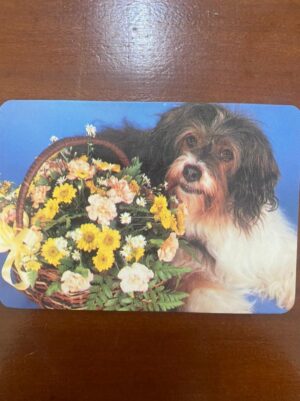 calendário de Bolso (Tema Animais - Cachorros) Ano 1992