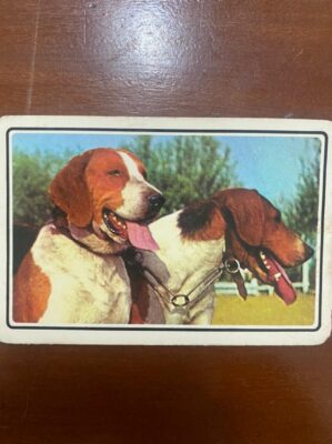 Calendário de Bolso (Tema Animais - Cachorros) Ano 1995