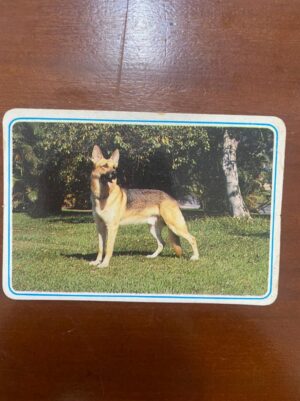Calendário de Bolso (Tema Animais - Cachorros) Ano 1998