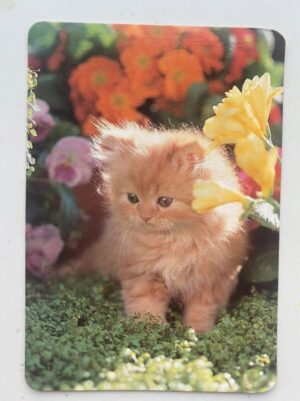 Calendário de Bolso (Tema Animais - Gatos) Ano 1993