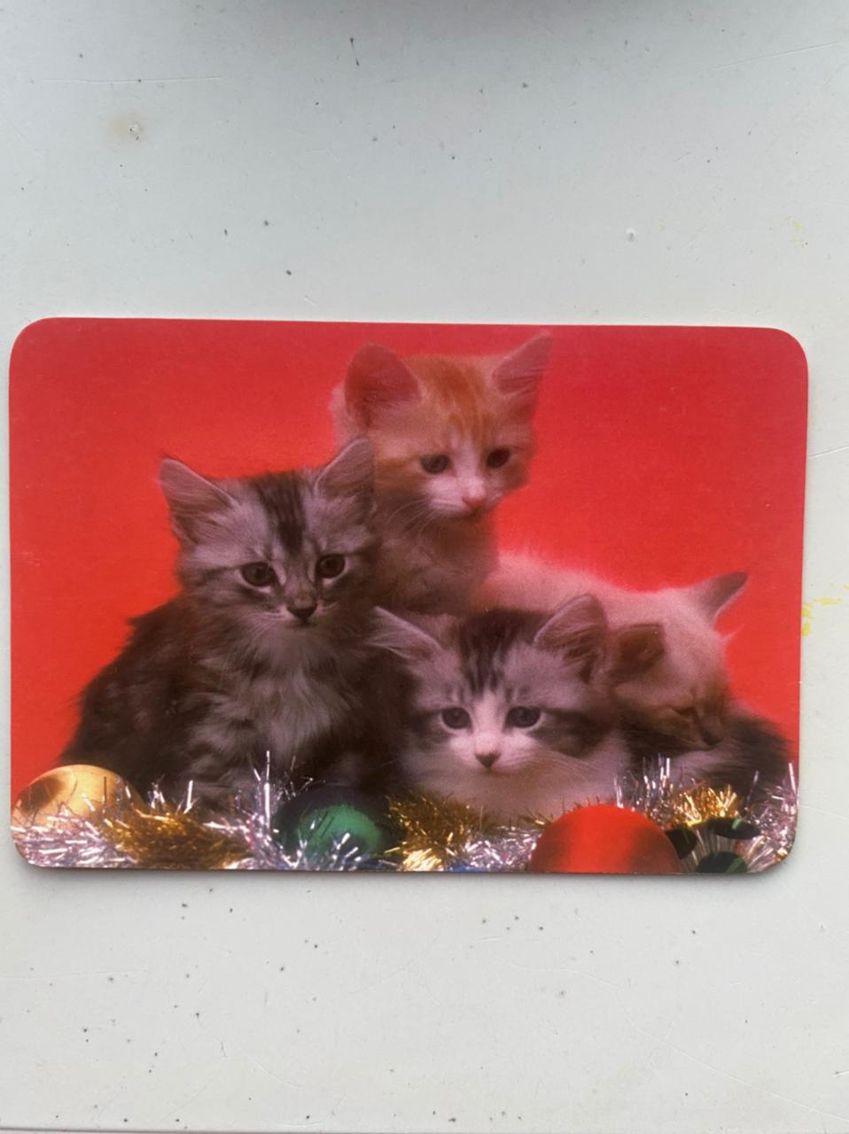 Calendário de Bolso (Tema Animais - Gatos) Ano 2008