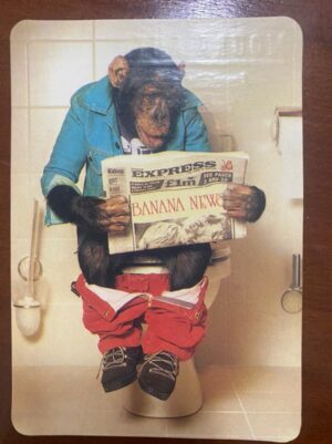 Calendário de Bolso (Tema Animais - Macacos) Ano 1998