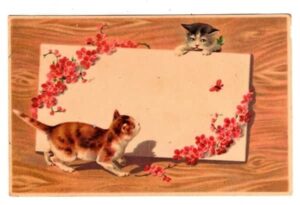 Cartao Postal - Gatos ( 01 ) - Anos 1930