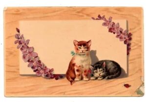 Cartao Postal - Gatos ( 03 ) - Anos 1930