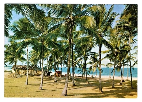 Cartao Postal - Vista do Jardim de Allah - Salvador - Bahia - Anos 1970 - Mercator