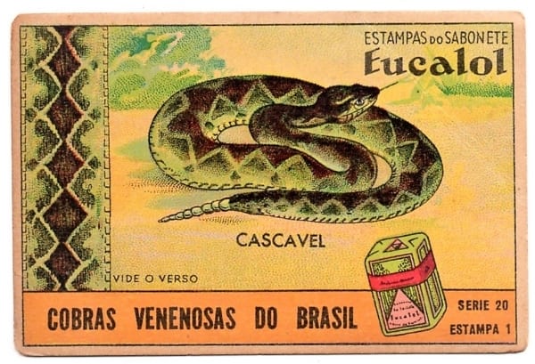Estampas Eucalol - Cobras Venenosas do Brasil - Série 20 - Estampa 1 - Anos 30 / 40 - 2° Emissão