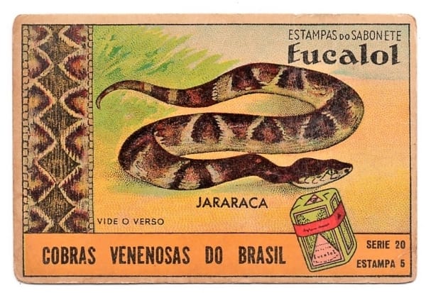 Estampas Eucalol - Cobras Venenosas do Brasil - Série 20 - Estampa 5 - Anos 30 / 40 - 2° Emissão