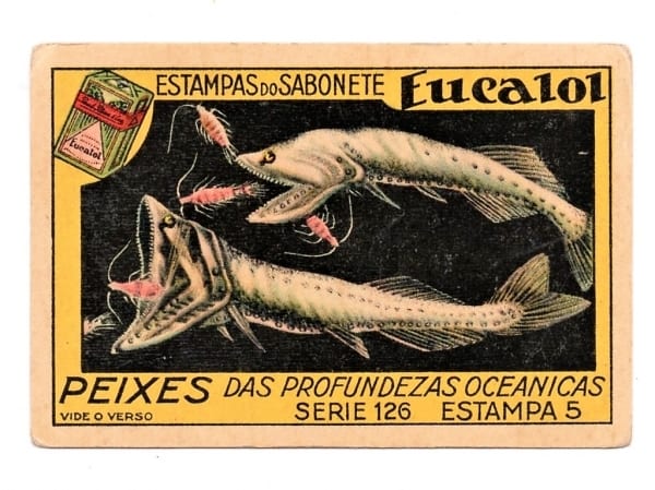 Estampas Eucalol - Peixes das Profundezas Oceanicas - Série 126 - Estampa 5 - Anos 30 / 40 - 1° Emissão
