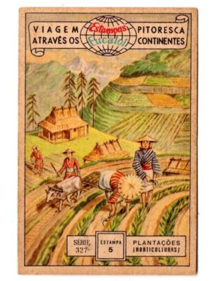 Estampas Eucalol Viagem Pitoresca Através os Continentes - Série 327 - Estampa 5 - Anos 1954