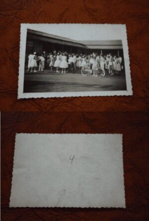 FOTOS DESFILE 14º ANIVERSÁRIO DE MARINGÁ .