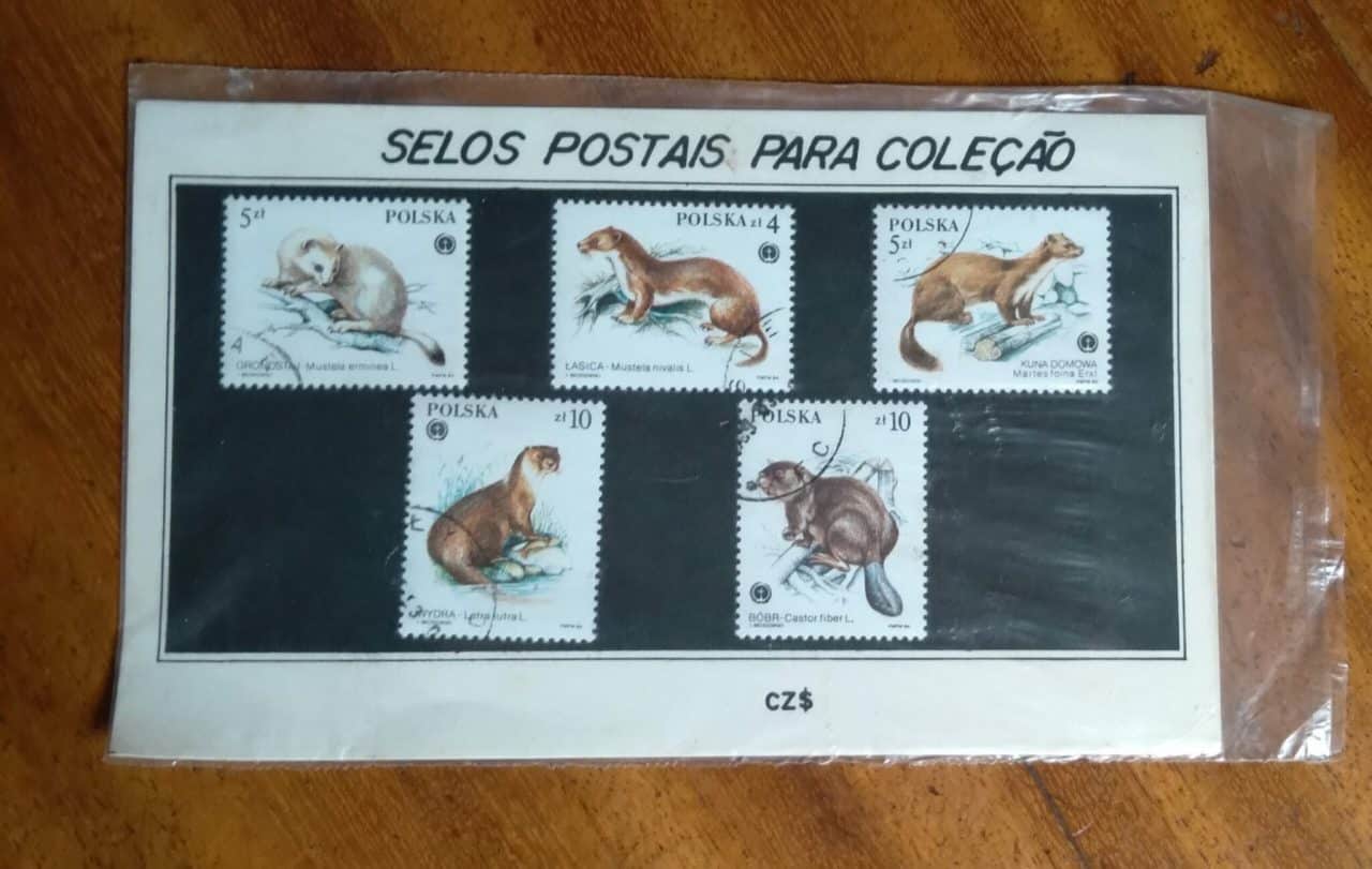 Selos Postais Polônia / Kit com 5 fauna Castor.