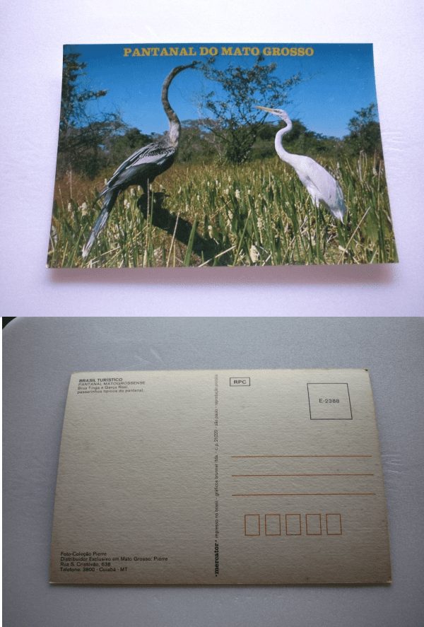 CARTÃO POSTAL BIUA TINGA E GARÇA REAL .