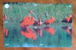 Ct Brasil Telepar 2001 / Parque das Aves série completa