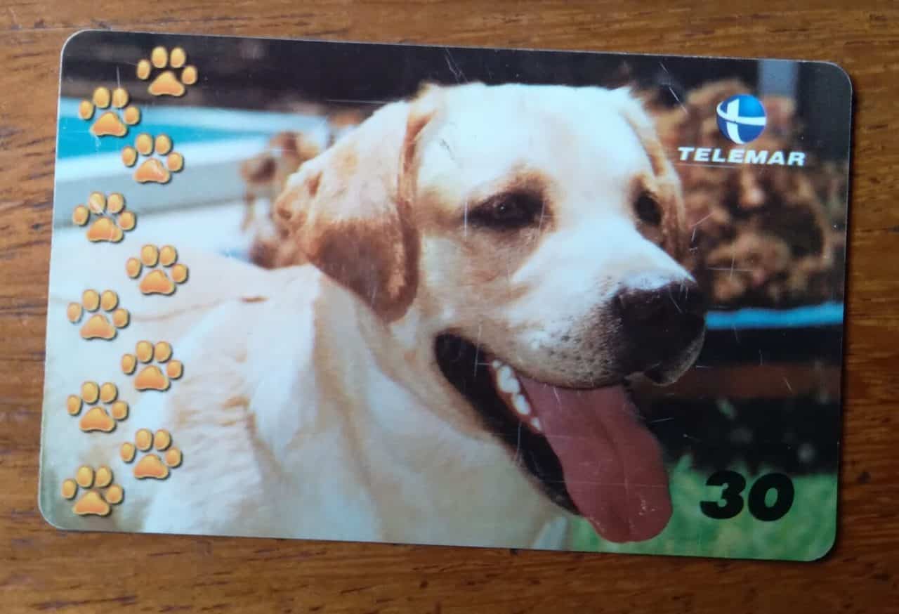 Brasil Telemar 2001 Grandes Amigos Do Homem 3 Labrador Ct Indutivo