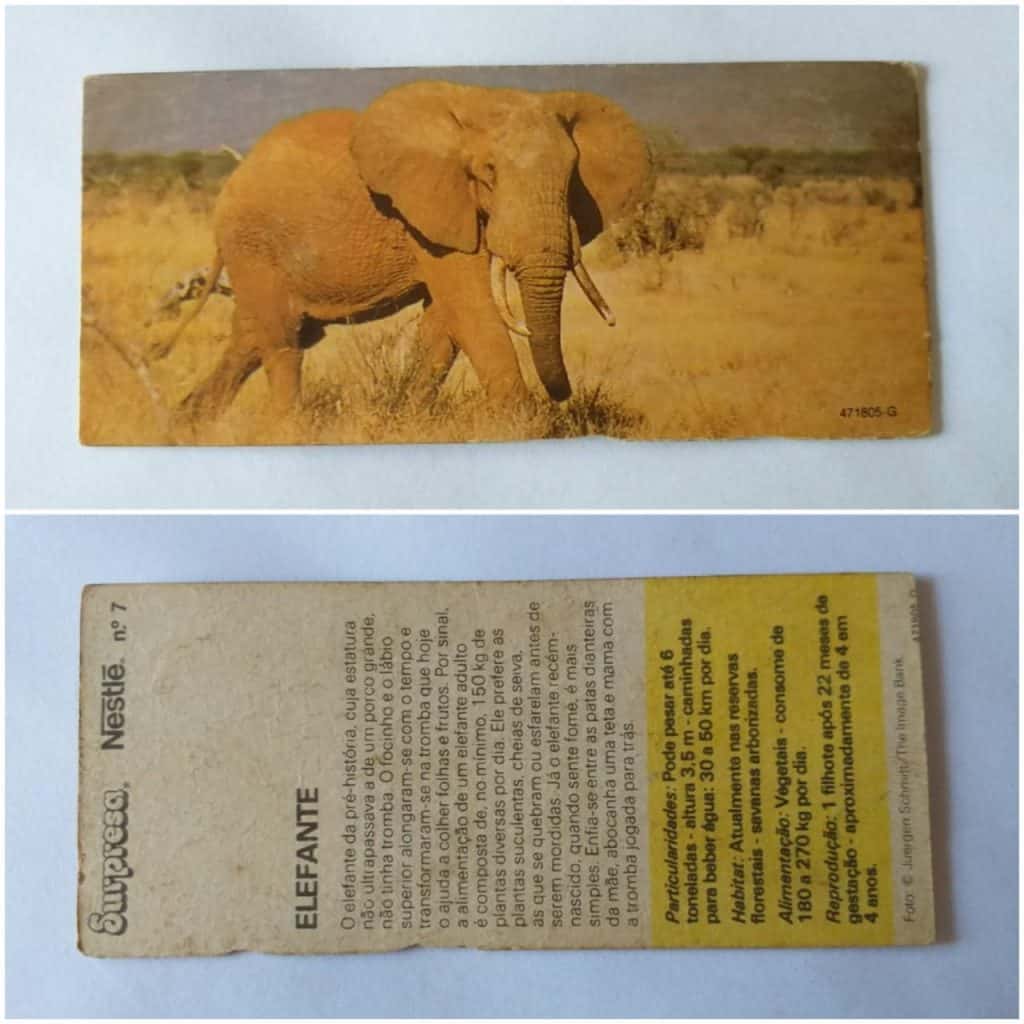 Figurinha Nestlê Surpresa (Animais de todo o Mundo) Nº 07 - Elefante - 1983