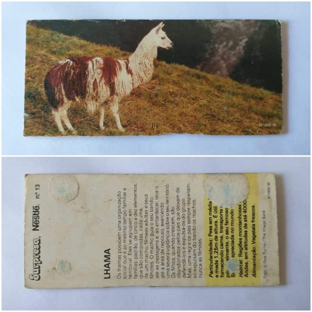 Figurinha Nestlê Surpresa (Animais de todo o Mundo) Nº 13 - Lhama - 1983
