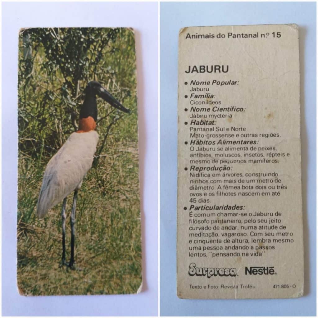 Figurinha Nestlê Surpresa (Animais do Pantanal) Nº 15 - Jaburu - 1984