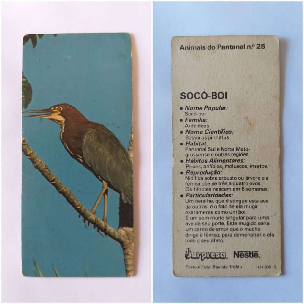 Figurinha Nestlê Surpresa (Animais do Pantanal) Nº 25 - Socó-Boi - 1984