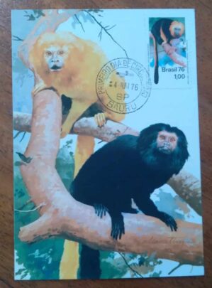 Filatelia Maximo Postal Ect Sp 1976 Preservacao Da Fauna Mico Leao 2
