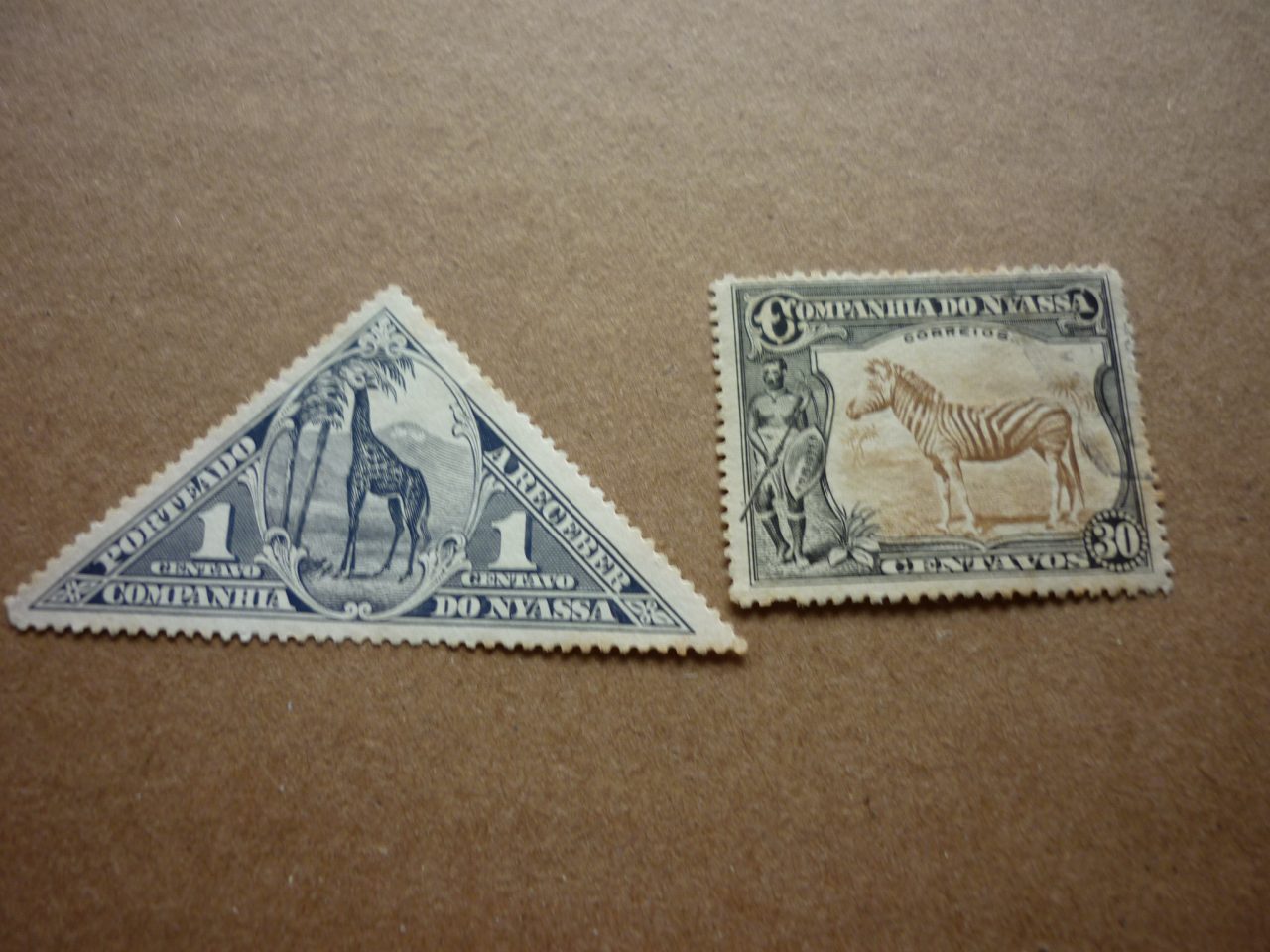 SELOS DE NYASSA LOTE 11.