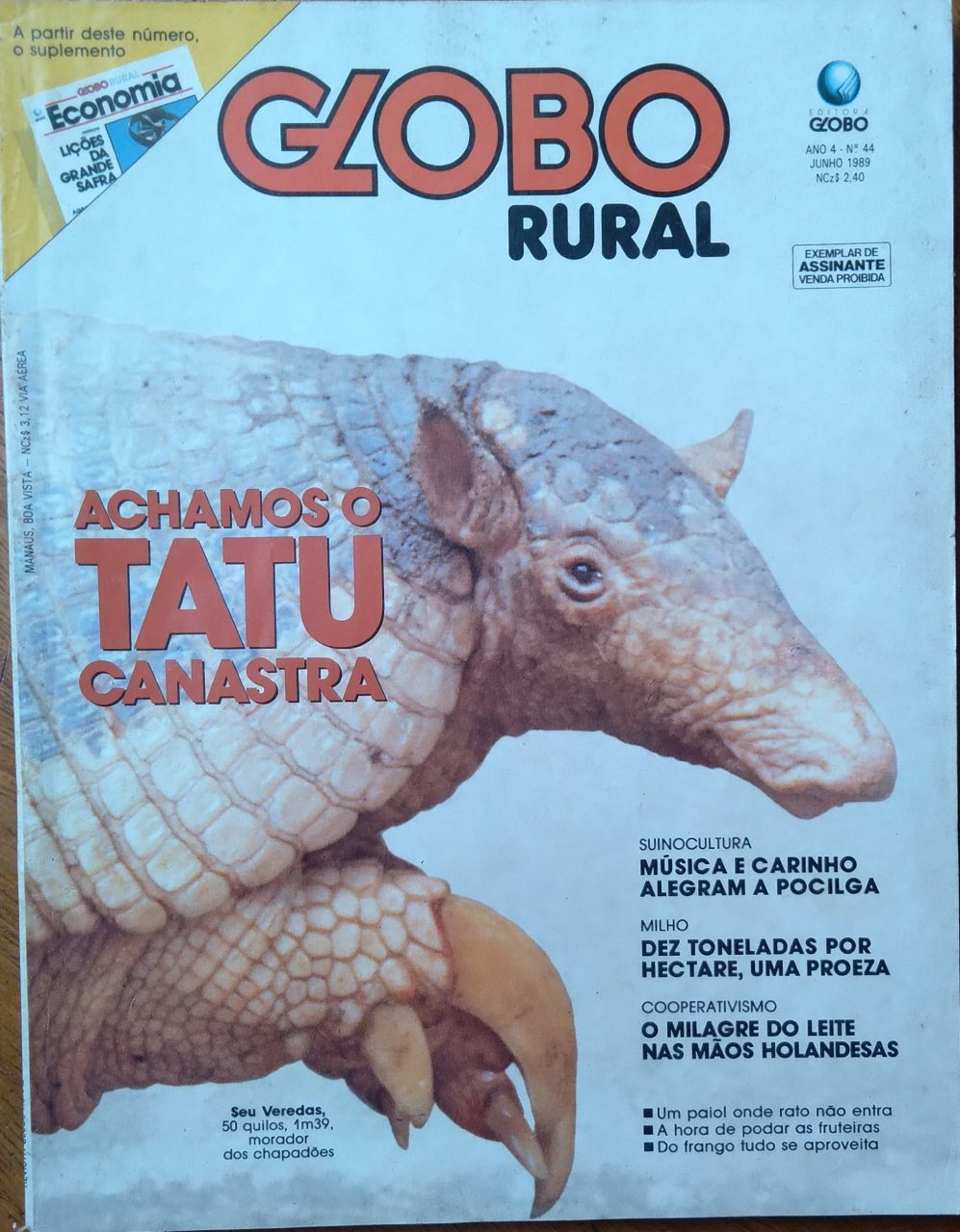 Como criar fila-brasileiro - Revista Globo Rural