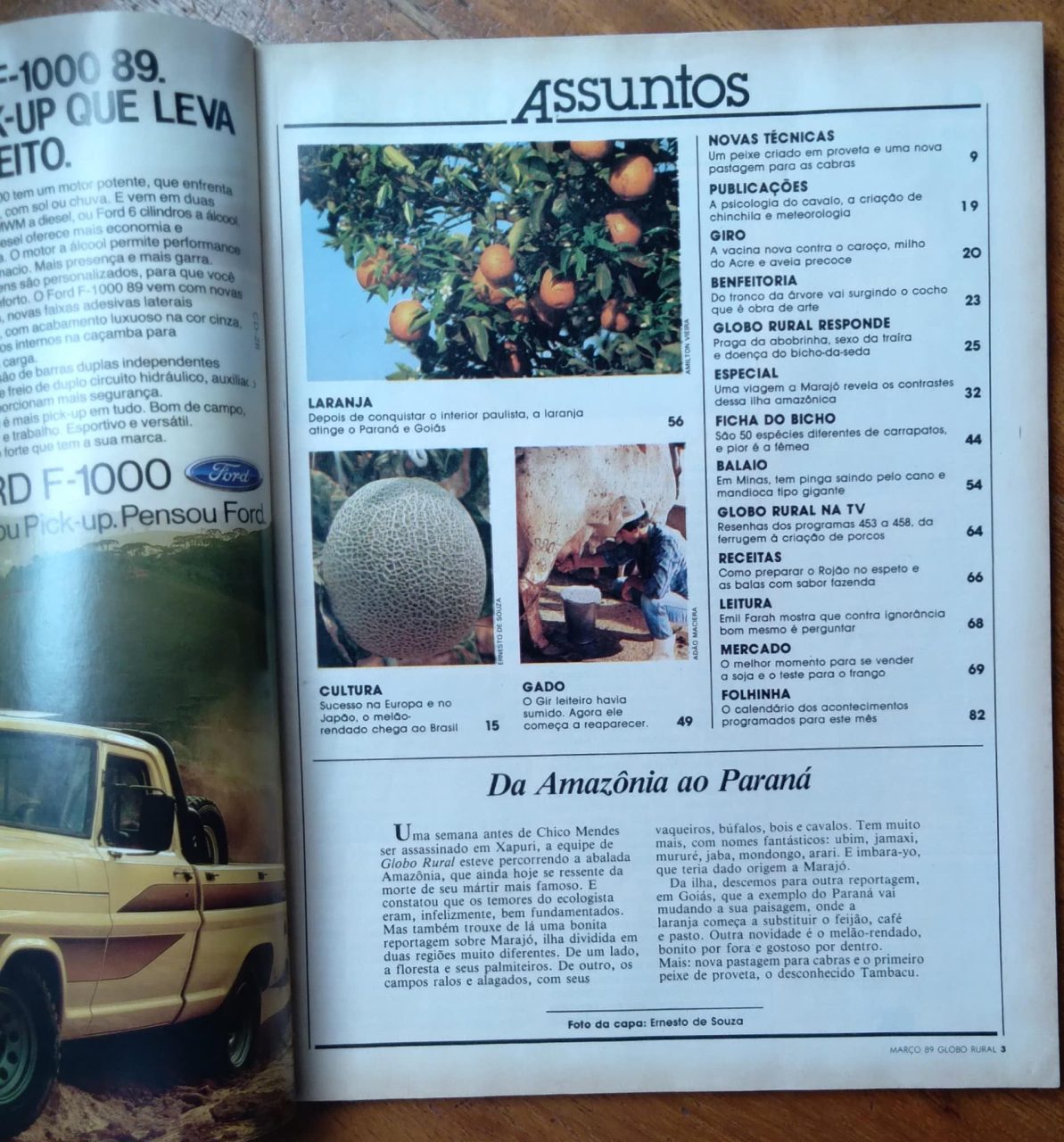 | Casa do Colecionador Revista Globo Rural 41 / Os Dois lados de Marajó / Peixe de Proveta.