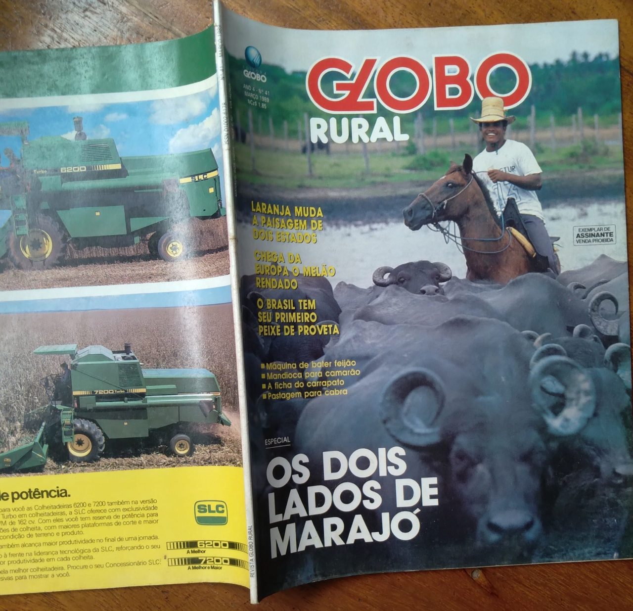 | Casa do Colecionador Revista Globo Rural 41 / Os Dois lados de Marajó / Peixe de Proveta.
